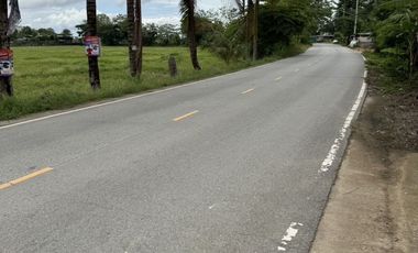 Land for sale in Rop Wiang, Chiang Rai