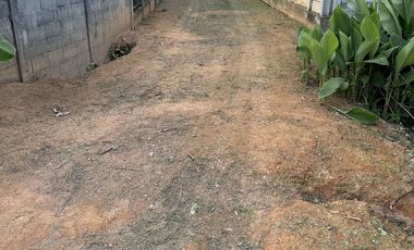 Land for sale in Rop Wiang, Chiang Rai