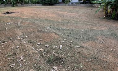 Land for sale in Rop Wiang, Chiang Rai