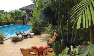 3 Bedroom House for sale in Ban Du, Chiang Rai