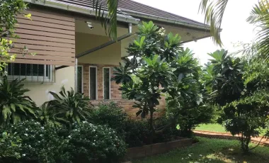 3 Bedroom House for sale in Ban Du, Chiang Rai