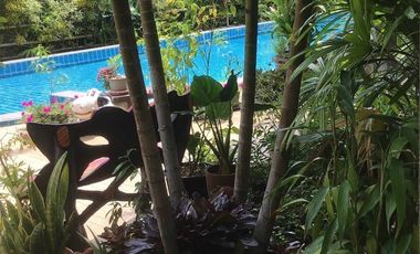 3 Bedroom House for sale in Ban Du, Chiang Rai