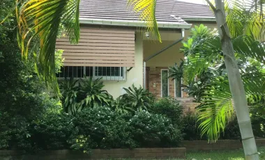 3 Bedroom House for sale in Ban Du, Chiang Rai