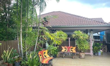 3 Bedroom House for sale in Ban Du, Chiang Rai