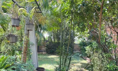 3 Bedroom House for sale in Ban Du, Chiang Rai