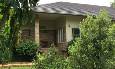 3 Bedroom House for sale in Ban Du, Chiang Rai