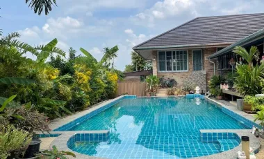 3 Bedroom House for sale in Ban Du, Chiang Rai