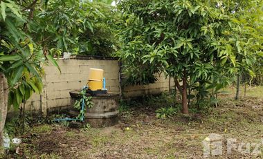 3 Bedroom House for sale in Tha Sai, Chiang Rai