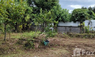3 Bedroom House for sale in Tha Sai, Chiang Rai