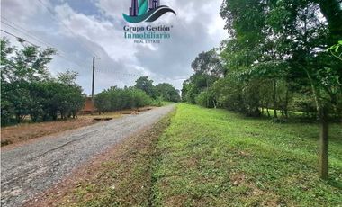 VENDO CABAÑA EN POTRERILLOS ARRIBA