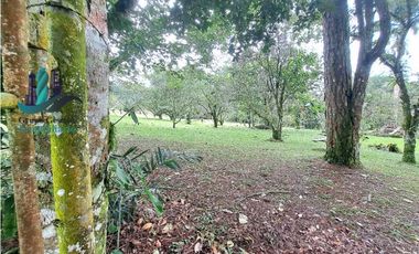 VENDO CABAÑA EN POTRERILLOS ARRIBA