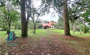 VENDO CABAÑA EN POTRERILLOS ARRIBA