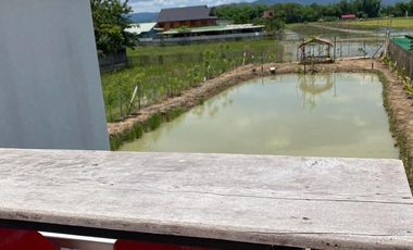 1 Bedroom House for sale in San Pong, Chiang Mai