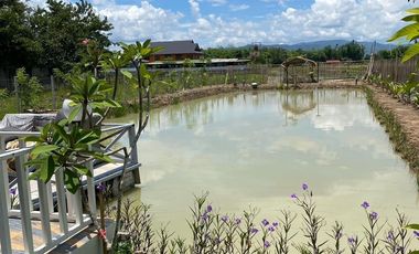 1 Bedroom House for sale in San Pong, Chiang Mai