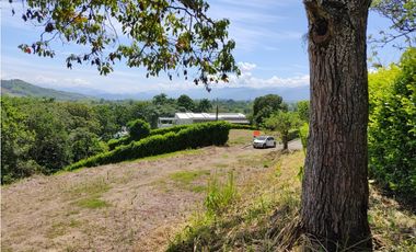 VENTA LOTE CONJUNTO CERRADO SANTGUEDA PALESTINA | LOTE CAMPESTRE