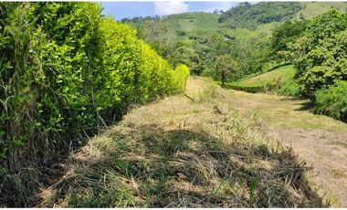 VENTA LOTE CONJUNTO CERRADO SANTGUEDA PALESTINA | LOTE CAMPESTRE