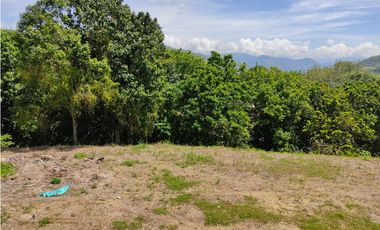 VENTA LOTE CONJUNTO CERRADO SANTGUEDA PALESTINA | LOTE CAMPESTRE