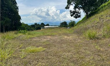 VENTA LOTE CONJUNTO CERRADO SANTGUEDA PALESTINA | LOTE CAMPESTRE