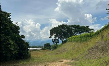 VENTA LOTE CONJUNTO CERRADO SANTGUEDA PALESTINA | LOTE CAMPESTRE