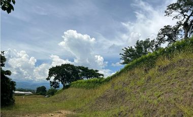 VENTA LOTE CONJUNTO CERRADO SANTGUEDA PALESTINA | LOTE CAMPESTRE