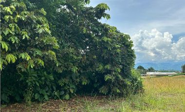 VENTA LOTE CONJUNTO CERRADO SANTGUEDA PALESTINA | LOTE CAMPESTRE