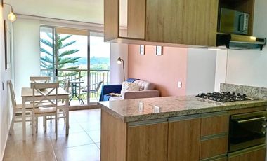 ALQUILER APARTAMENTO AMOBLADO ARMENIA EN CONVENIENTE UBICACION