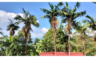 SE VENDE  FINCA MUNICIPIO DE MESITAS DEL COLEGIO