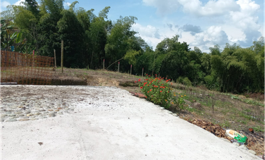 Venta Lote Sur Tebaida Quindio- Colombia COD: 7786802