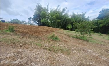 Venta Lote Sur Tebaida Quindio- Colombia COD: 7786802