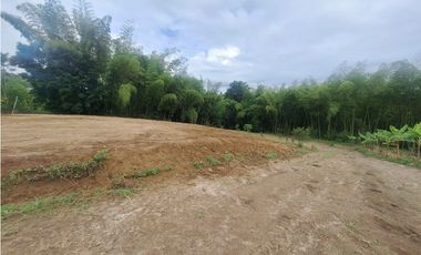 Venta Lote Sur Tebaida Quindio- Colombia COD: 7786802