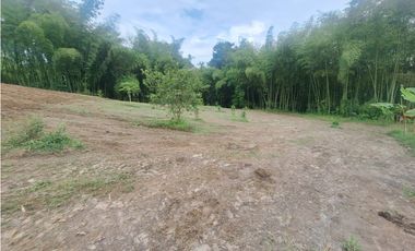 Venta Lote Sur Tebaida Quindio- Colombia COD: 7786802