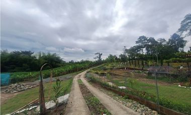 Venta Lote Sur Tebaida Quindio- Colombia COD: 7786802