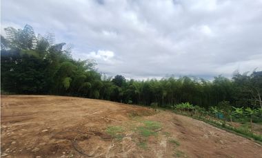 Venta Lote Sur Tebaida Quindio- Colombia COD: 7786802