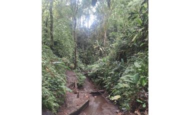 Venta Lote Sur Tebaida Quindio- Colombia COD: 7786802