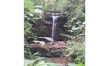 Venta Lote Sur Tebaida Quindio- Colombia COD: 7786802