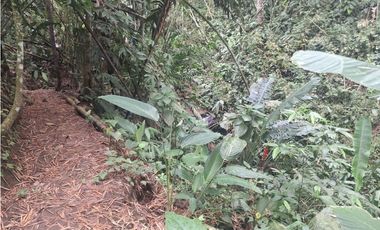 Venta Lote Sur Tebaida Quindio- Colombia COD: 7786802