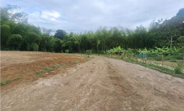 Venta Lote Sur Tebaida Quindio- Colombia COD: 7786802