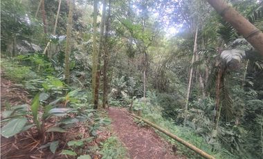 Venta Lote Sur Tebaida Quindio- Colombia COD: 7786802