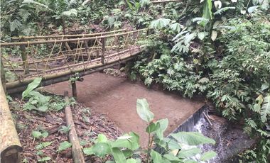 Venta Lote Sur Tebaida Quindio- Colombia COD: 7786802