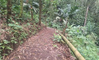 Venta Lote Sur Tebaida Quindio- Colombia COD: 7786802