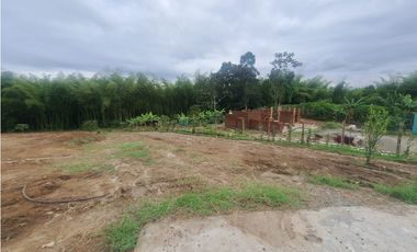 Venta Lote Sur Tebaida Quindio- Colombia COD: 7786802