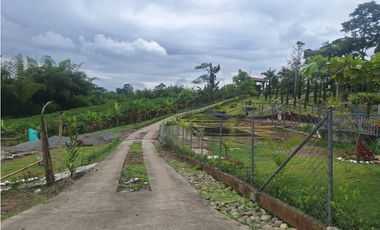 Venta Lote Sur Tebaida Quindio- Colombia COD: 7786802