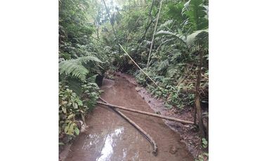 Venta Lote Sur Tebaida Quindio- Colombia COD: 7786802
