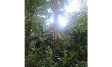 Venta Lote Sur Tebaida Quindio- Colombia COD: 7786802