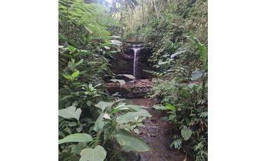 Venta Lote Sur Tebaida Quindio- Colombia COD: 7786802
