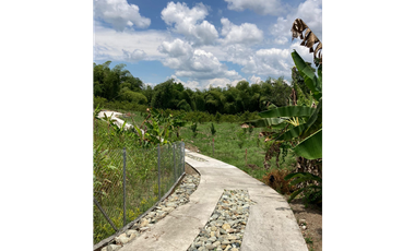 Venta Lote Sur Tebaida Quindio- Colombia COD: 7786802