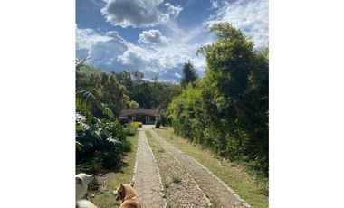 Venta de finca-lote  para la venta en Fizebad
