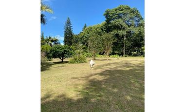 Venta de finca-lote  para la venta en Fizebad