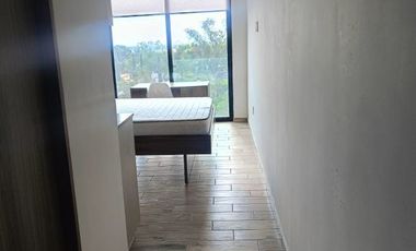 RENTA modernos LOFTS tipo suite ejecutiva para 1 persona