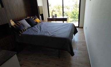 RENTA modernos LOFTS tipo suite ejecutiva para 1 persona